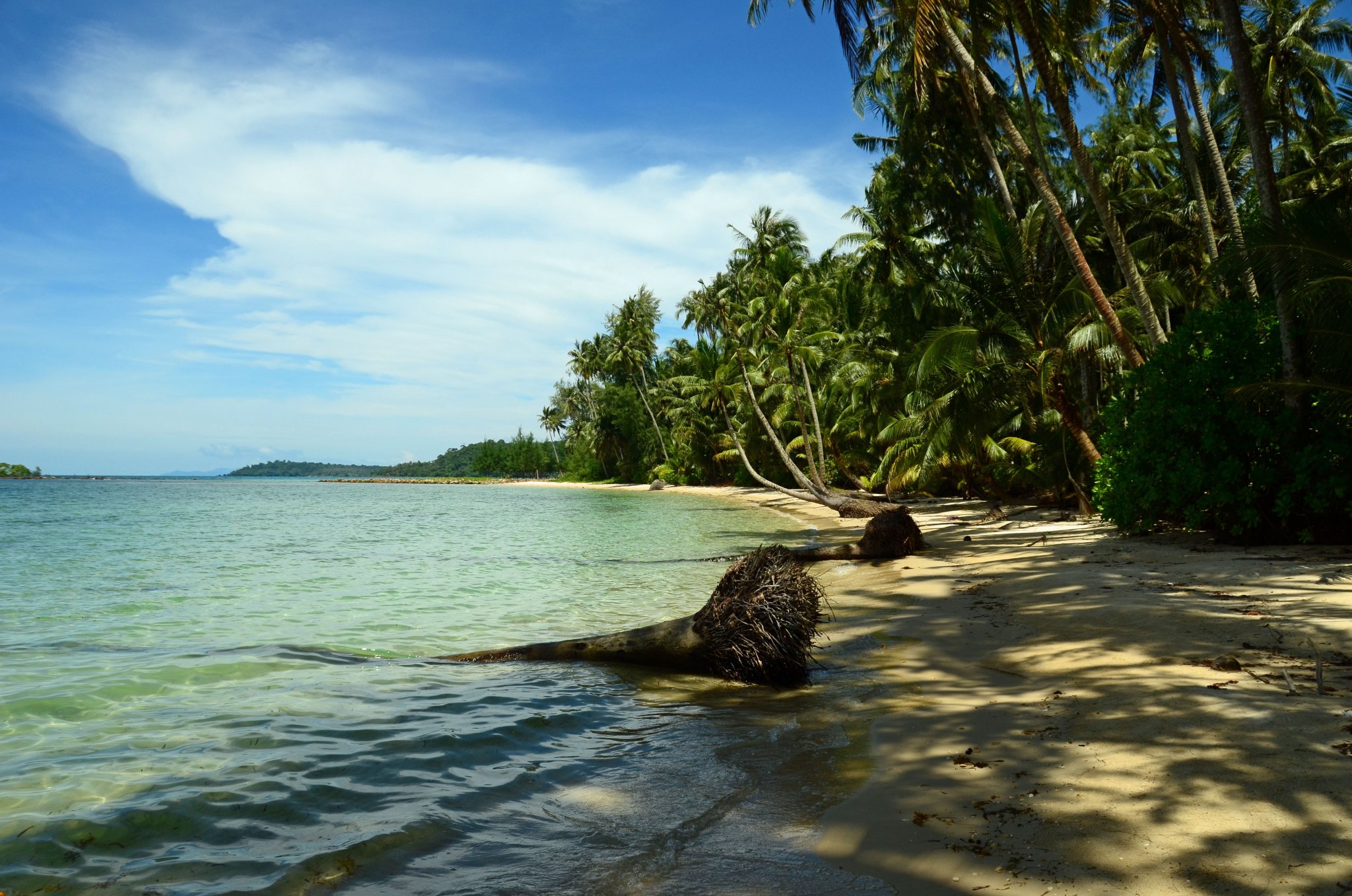 DSC_3924.JPG