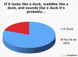 Duck-1.jpg