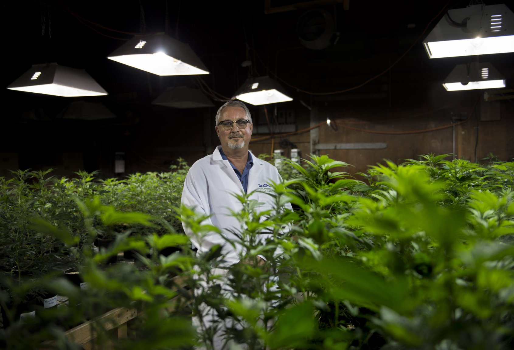 US_NEWS_CALIF-MARIJUANA-DESERTTOWNS_5_SA.jpg