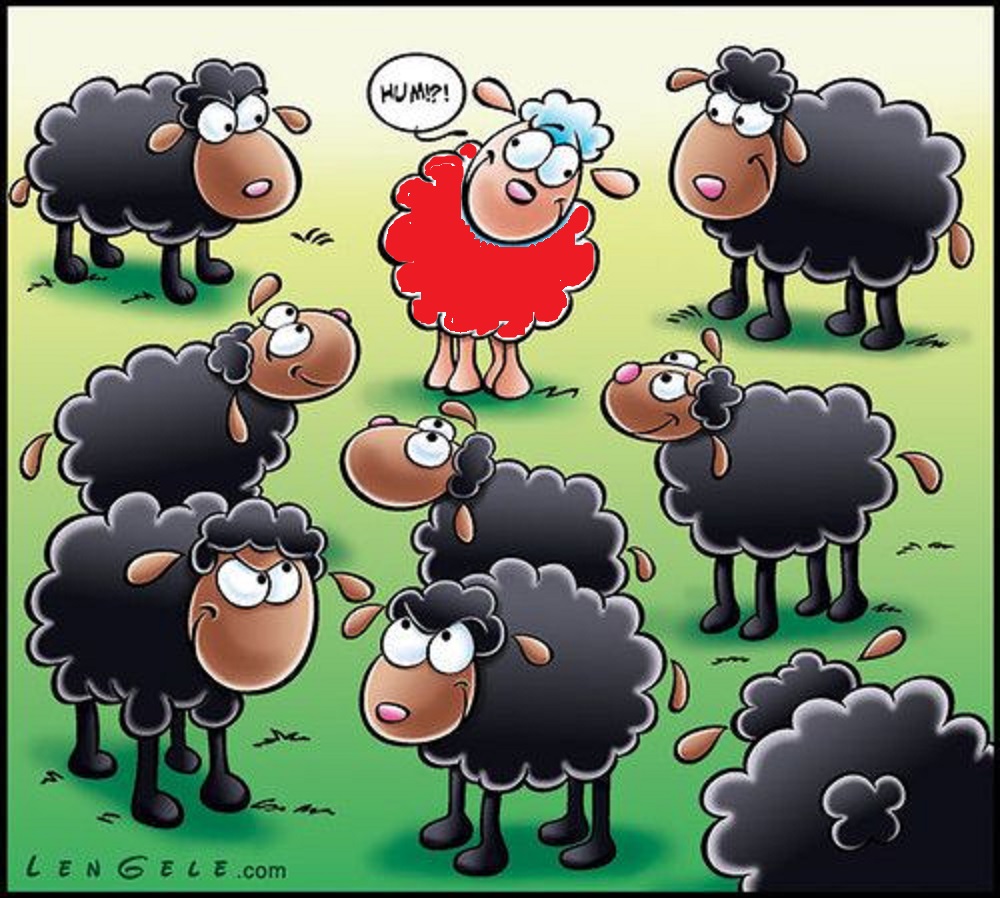 baa_baa.jpg