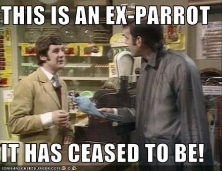 exparrot.jpg