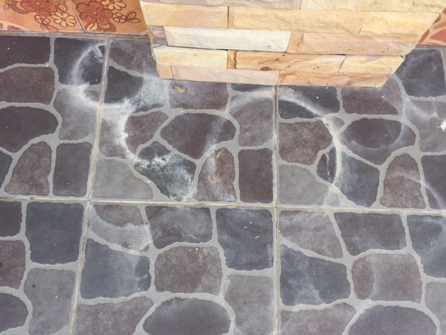image1.JPG