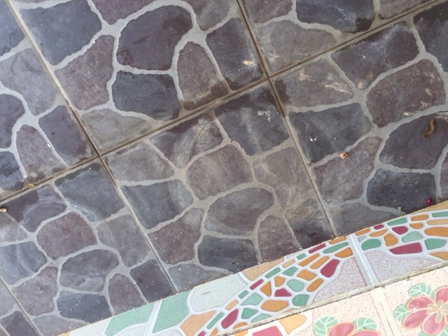 image2.JPG