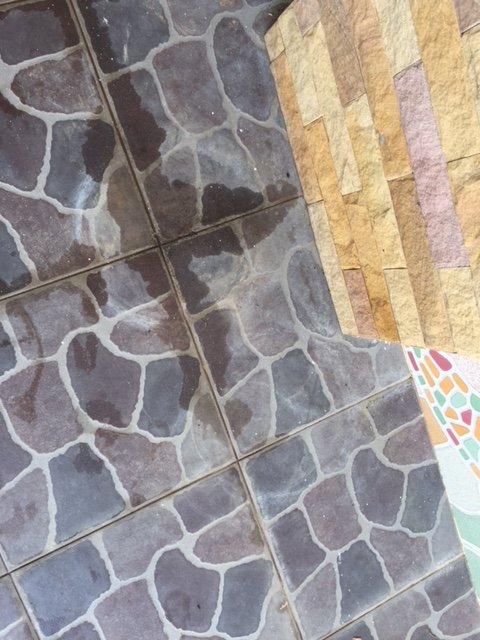 image3.JPG