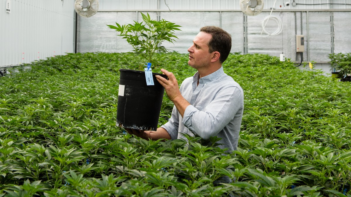 jordan-lewis-high-valley-farms_h.jpg