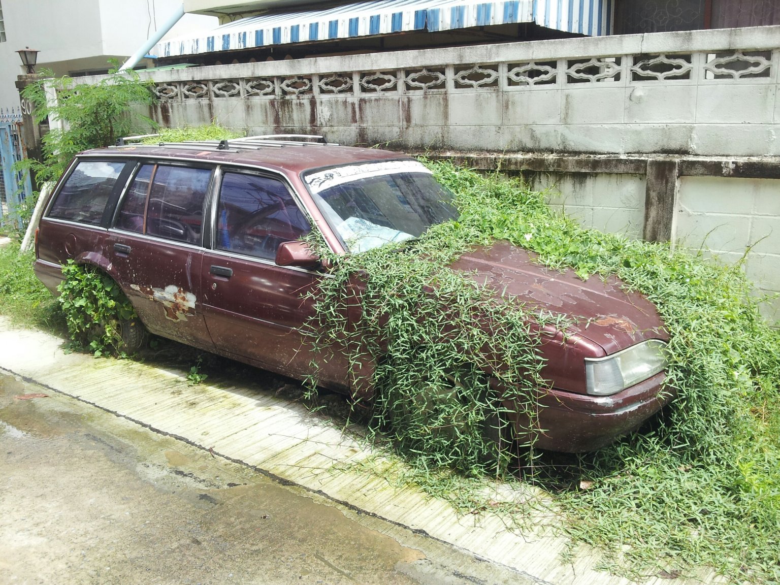20120907_111414_resized.jpg