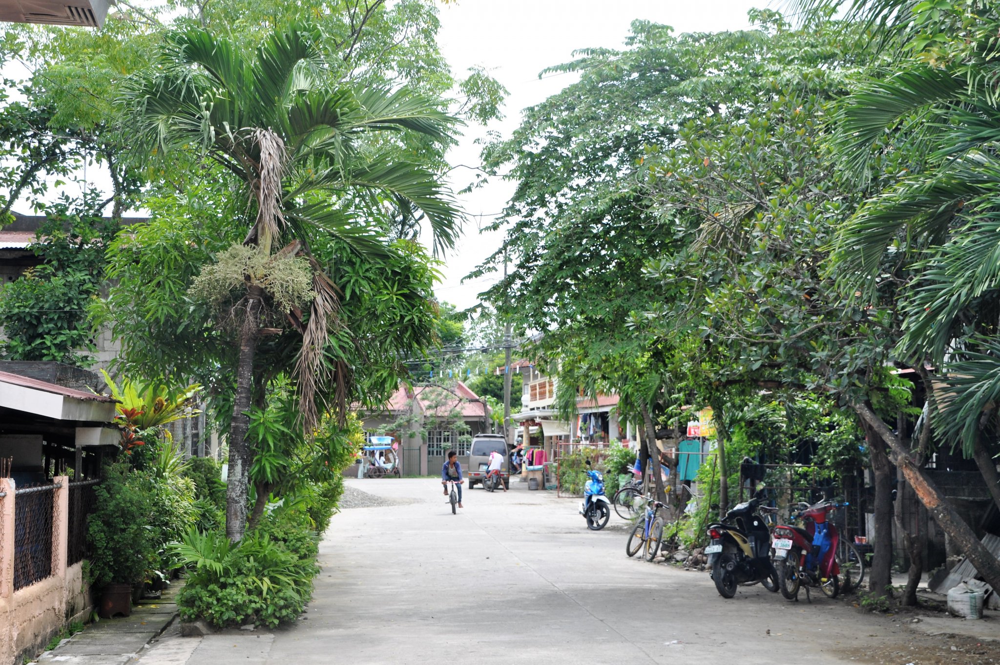 5.1 Cebu - visit Balamban (30).JPG