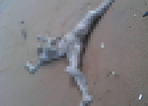 aHR0cDovL3BlMS5pc2Fub29rLmNvbS9ucy8wL3VkLzQyMi8yMTExMjQ2Lzc0NzYxNy0wMS5qcGc=.jpg