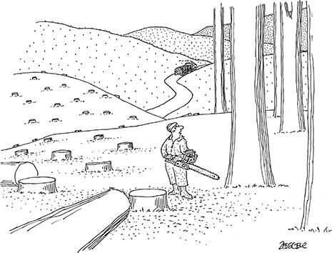 urban forest.jpg