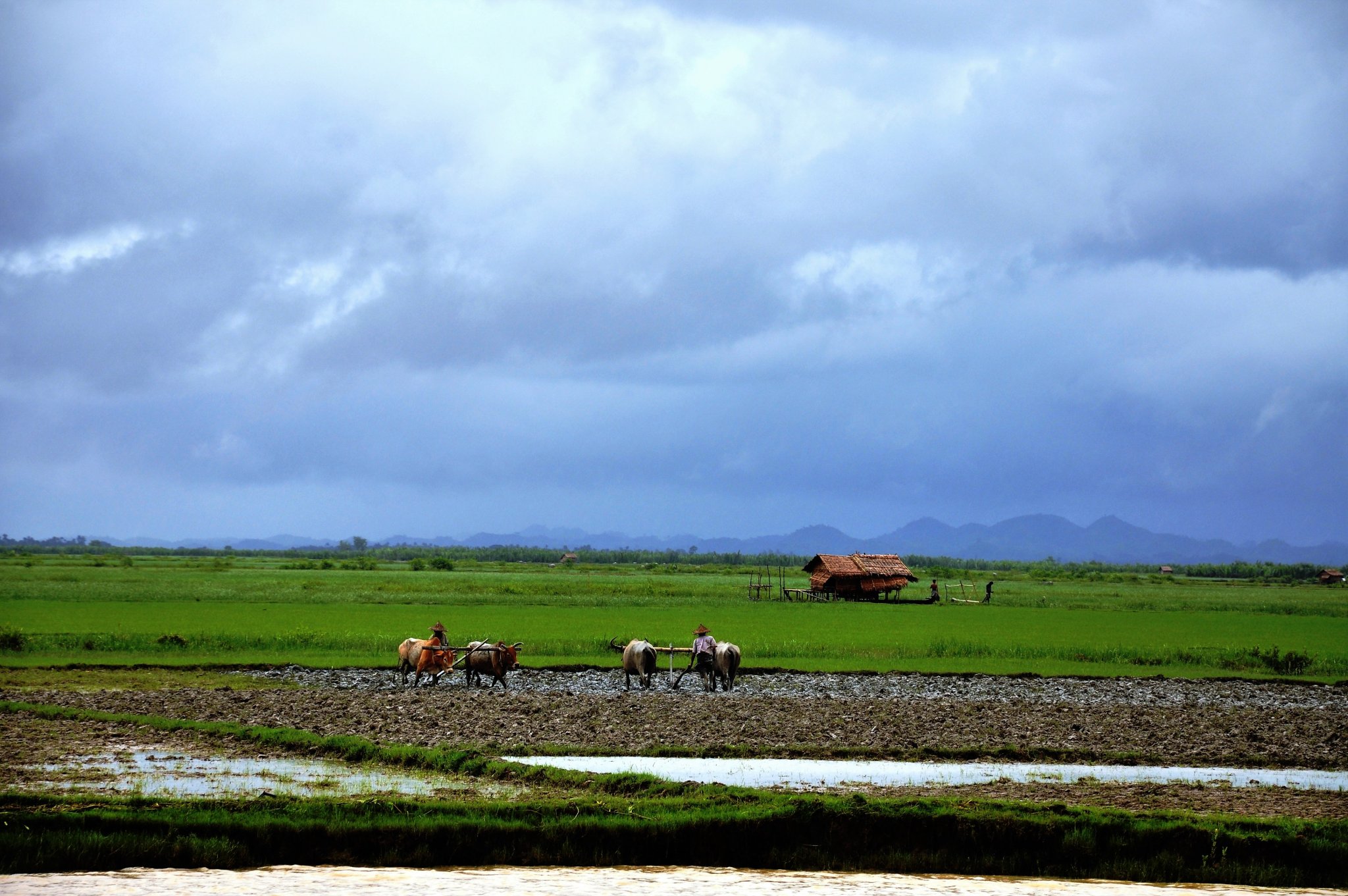 2 DSC_0159 boattrip to M'Rauk-U.jpg