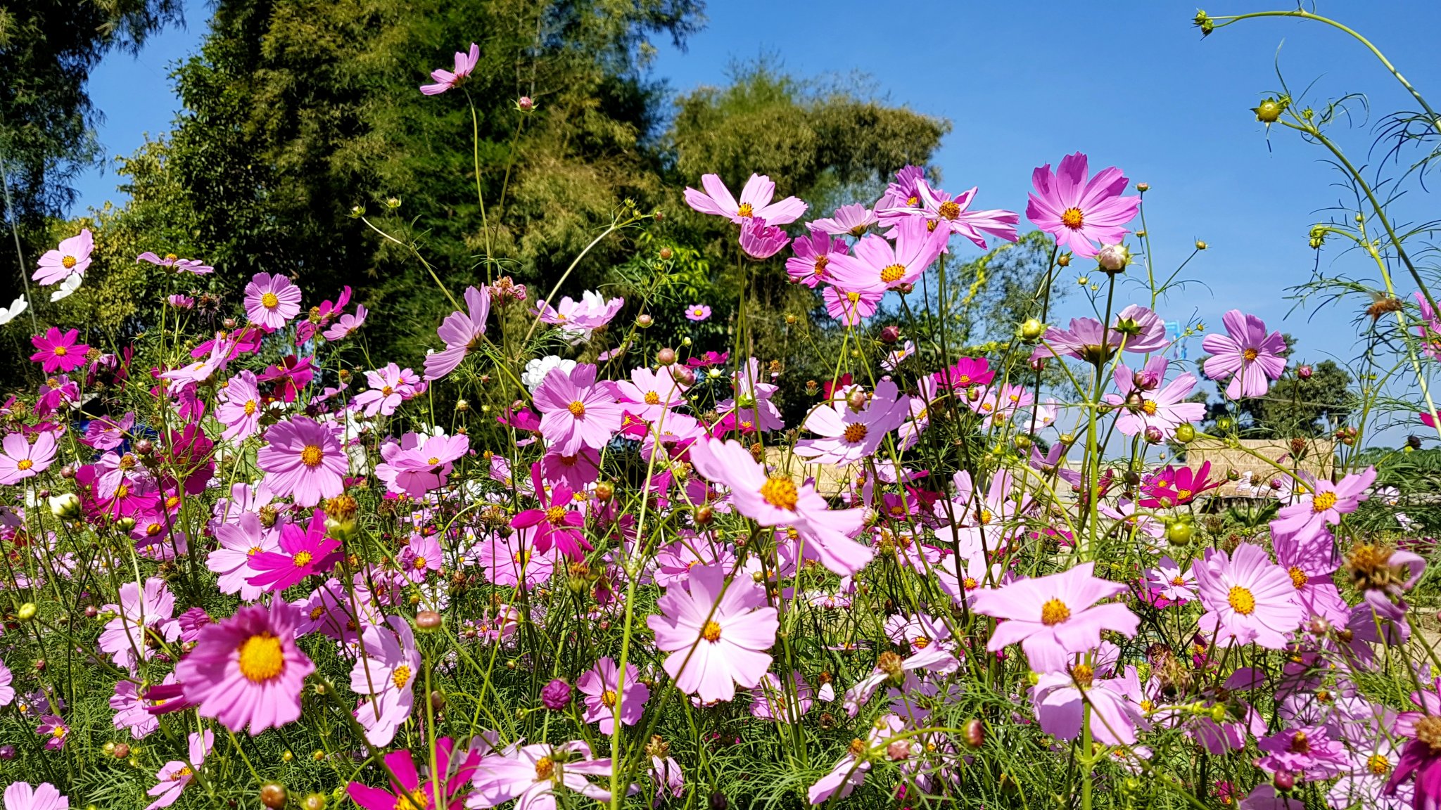 20161209_120107 - Copy.jpg