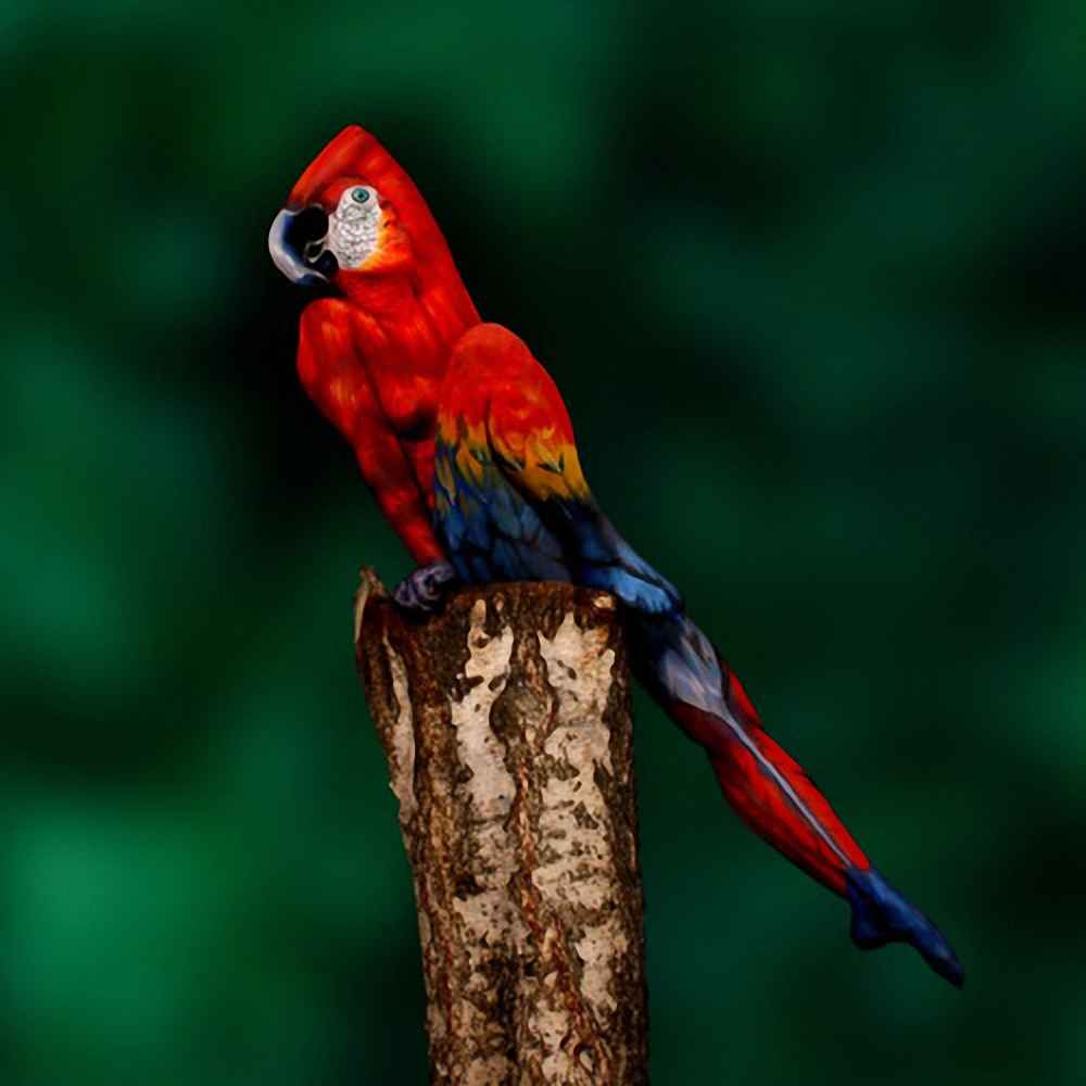 female model parrot-01.jpg