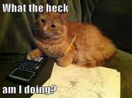 Mr. Bitey confused.jpg