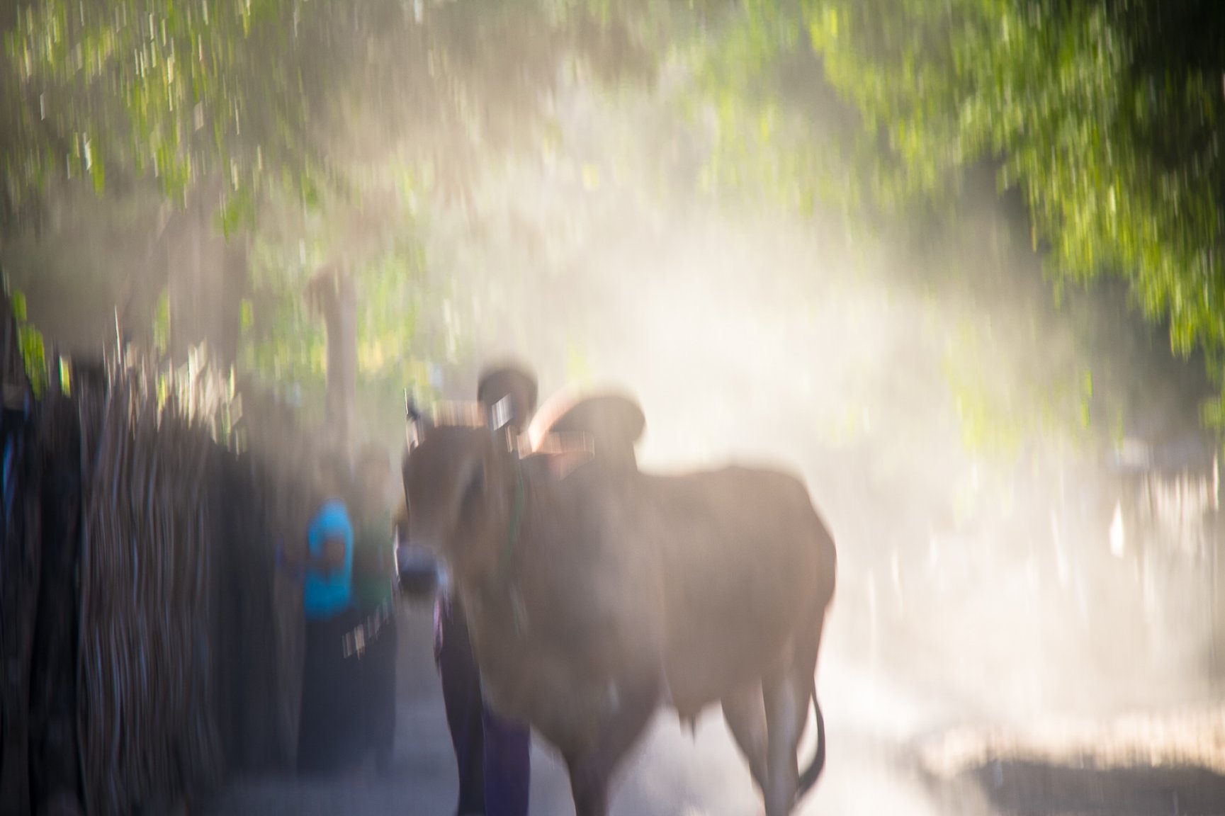 Burma Arrive 1 Village -0399.jpg