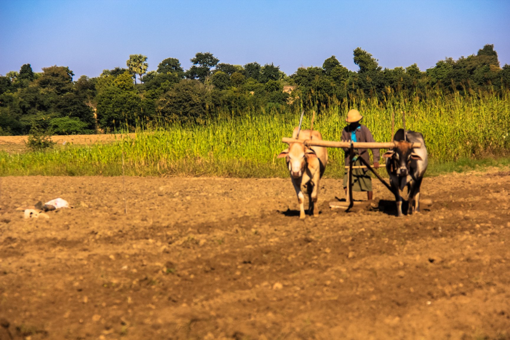 Burma Magway area-2010.jpg