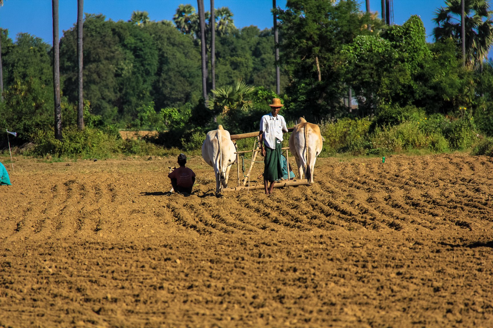 Burma Magway area-2021.jpg