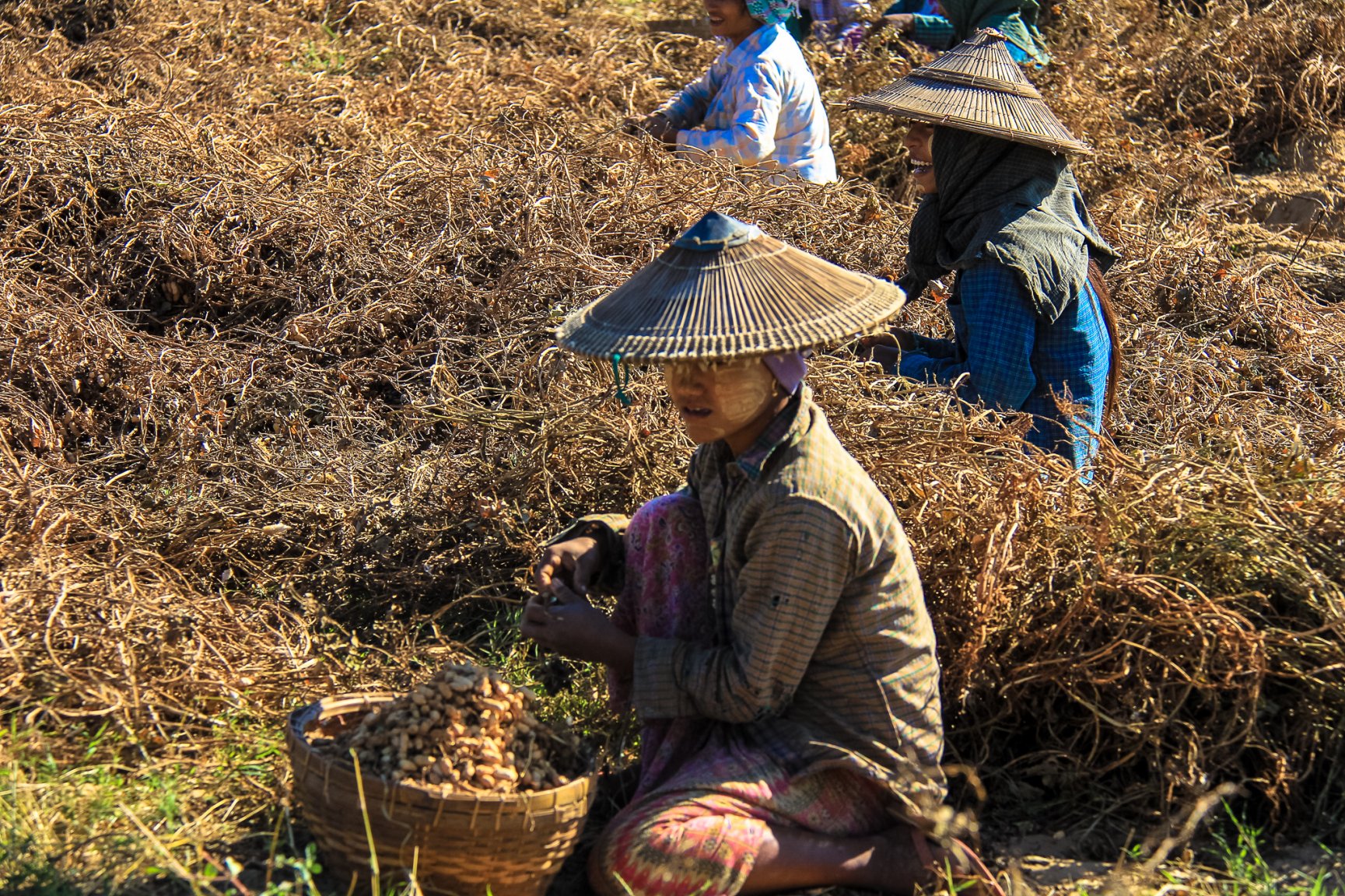 Burma Magway area-2080.jpg