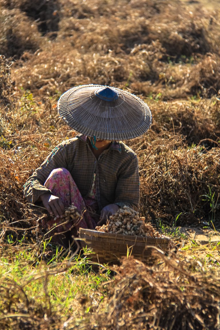 Burma Magway area-2084.jpg