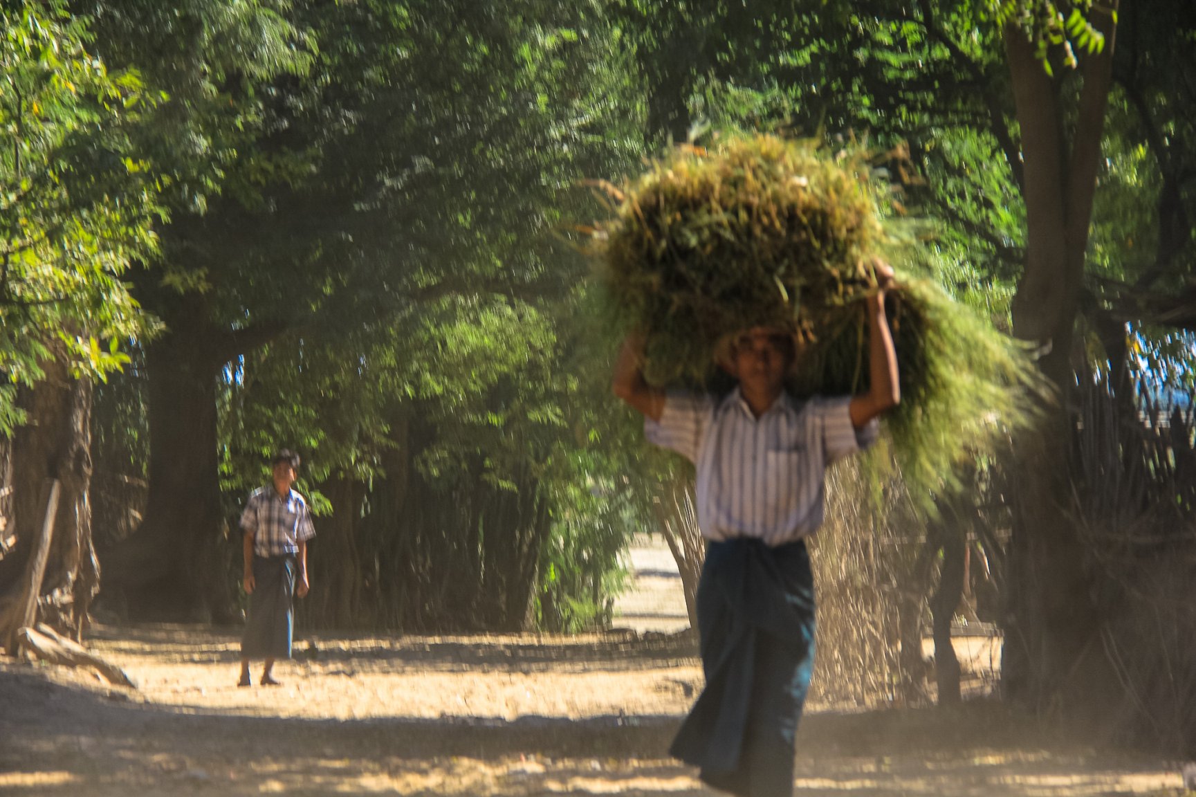 Burma Magway area-2188.jpg