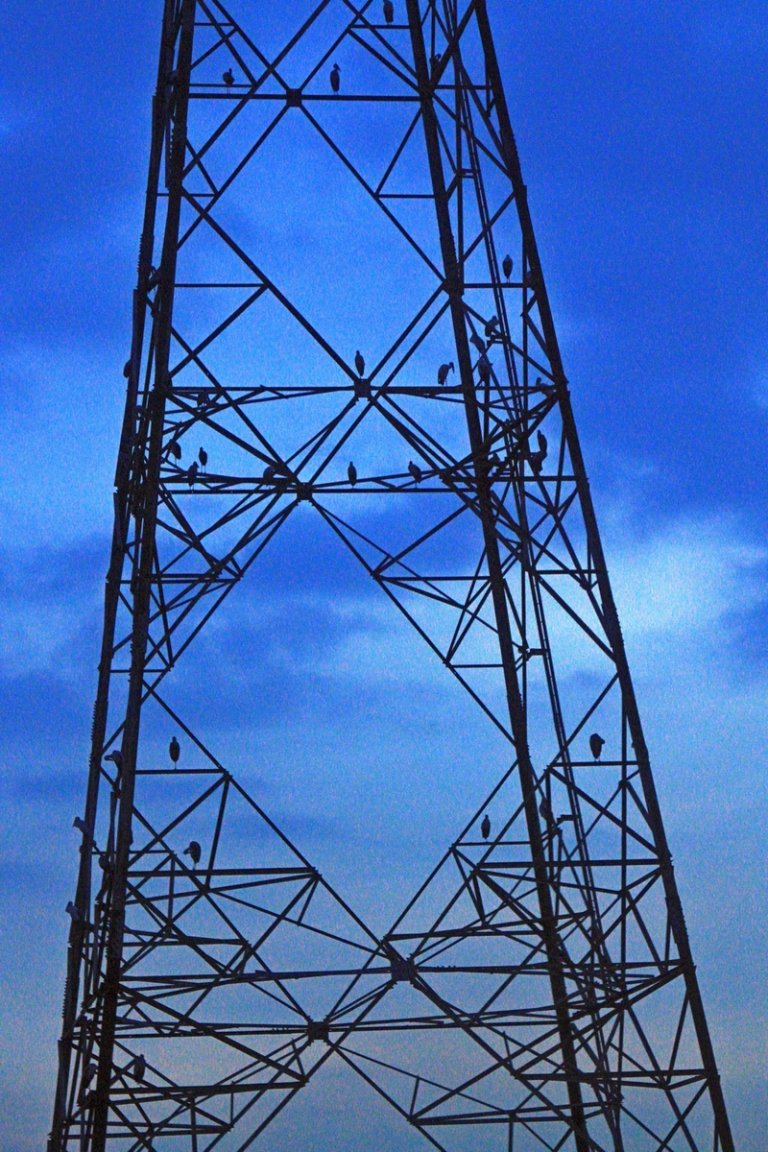 IMG_1423 fs 800x1280.jpg