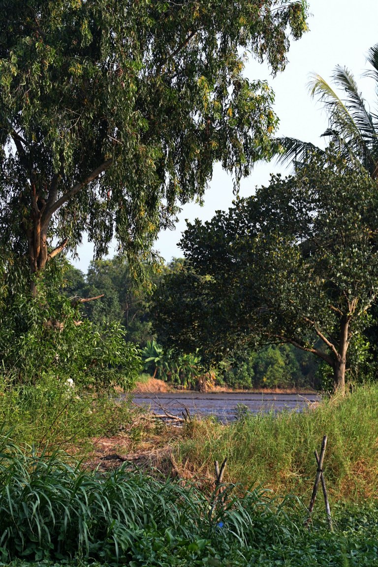 450D-3149-09_12_2008 faststone kleiner.jpg