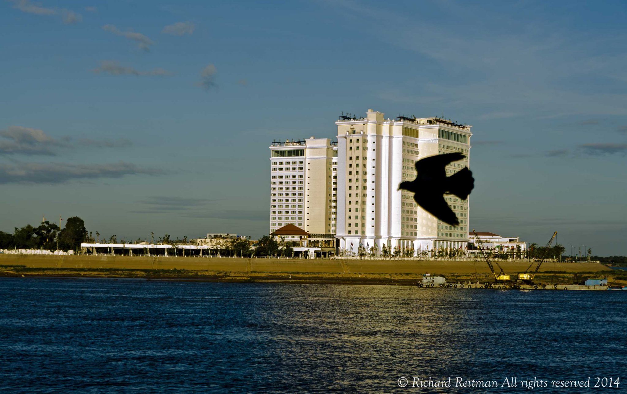 bird & sokha watermarked.jpg