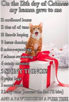Twelve Days of Catness.jpg
