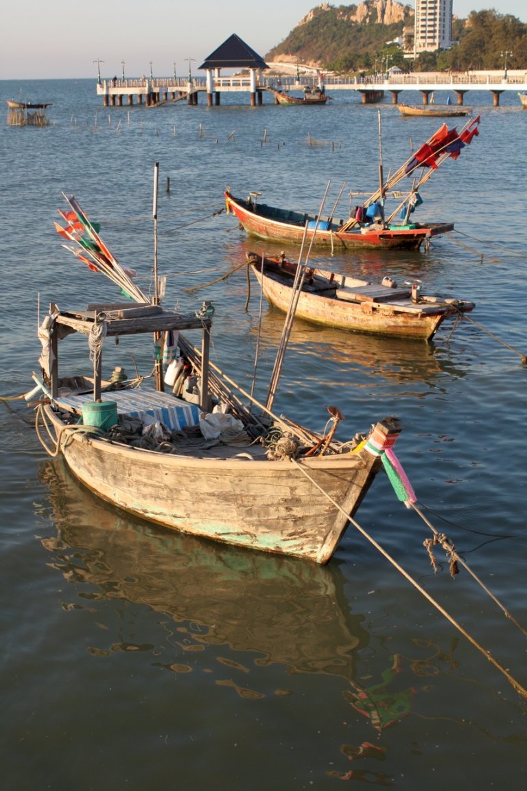 IMG_5238 fs 1224x1080.jpg