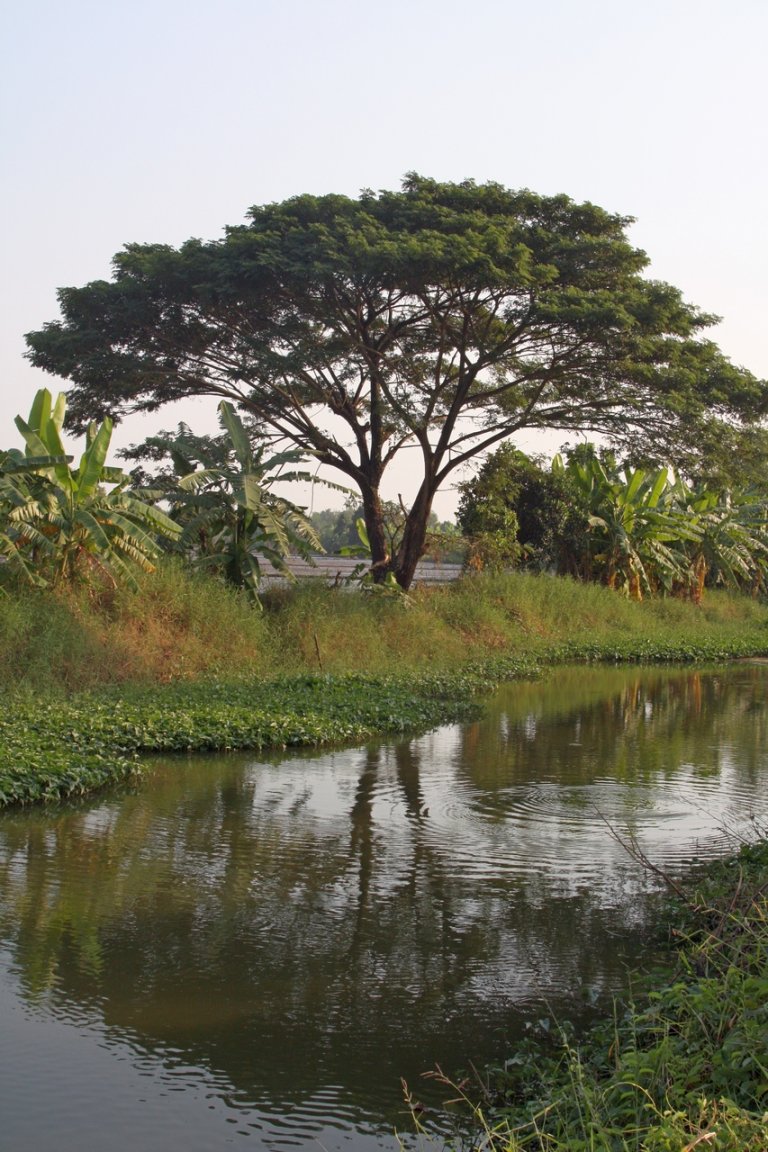 450D-3144-09_12_2008 verbeterd 1024x1280.jpg