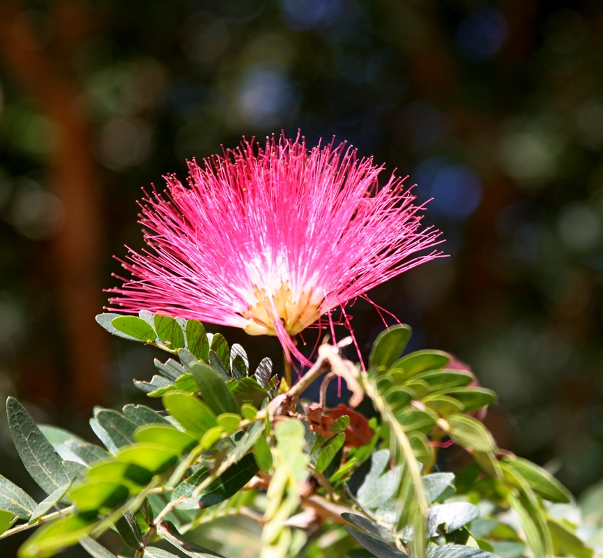 Picture 271.jpg fs 1280x1400.jpg