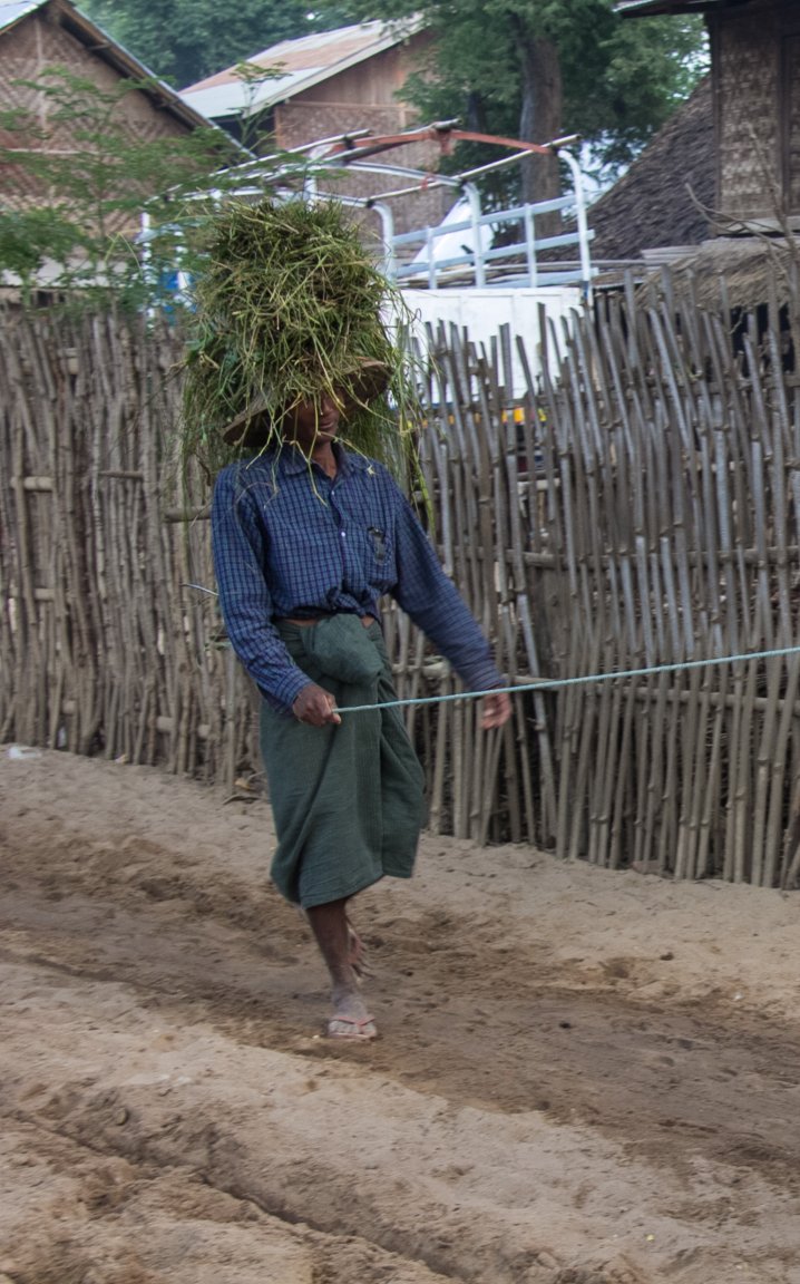 Burma Magway area-2906.jpg