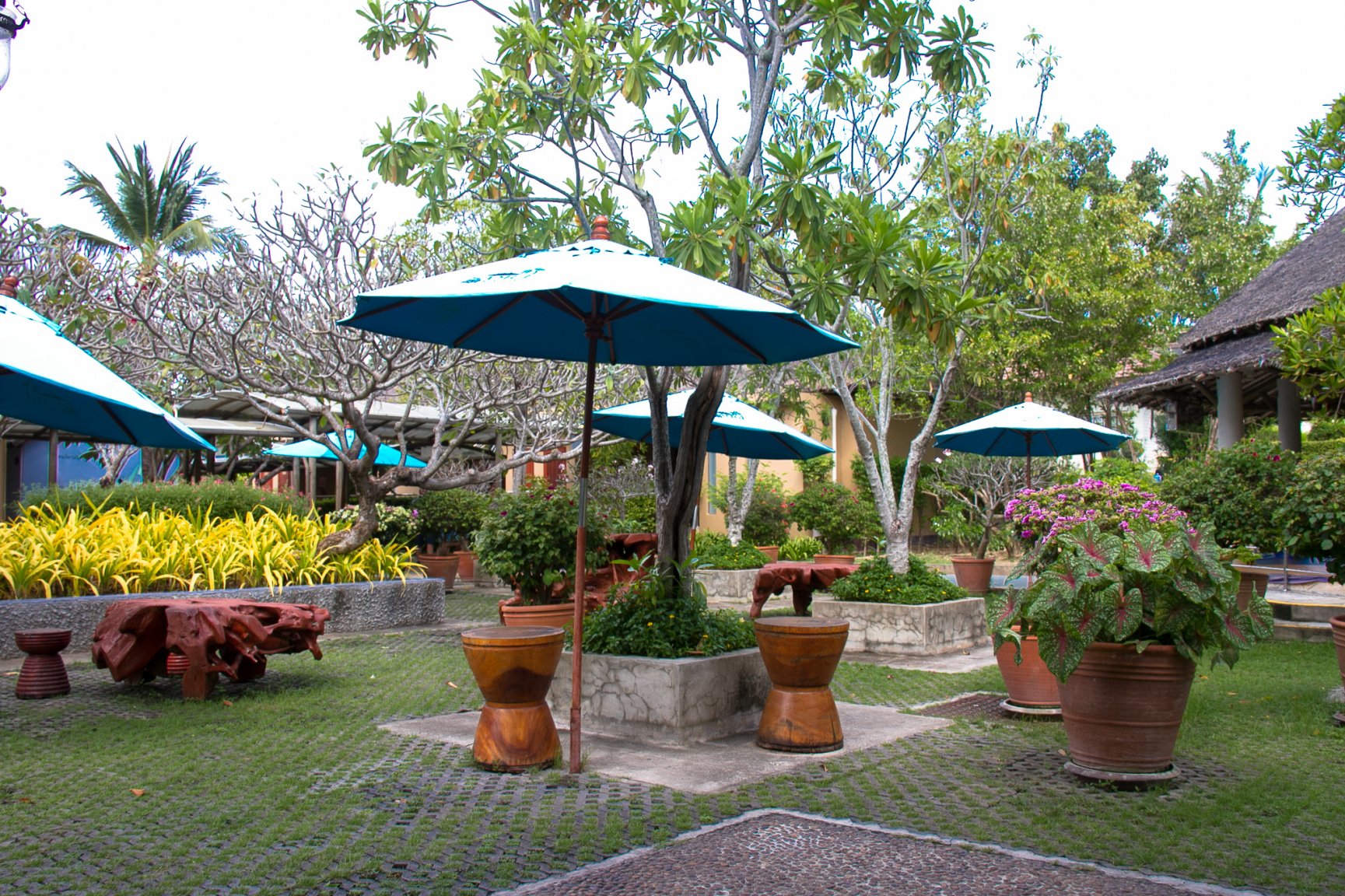 Samui airport to Phuket-9150.jpg
