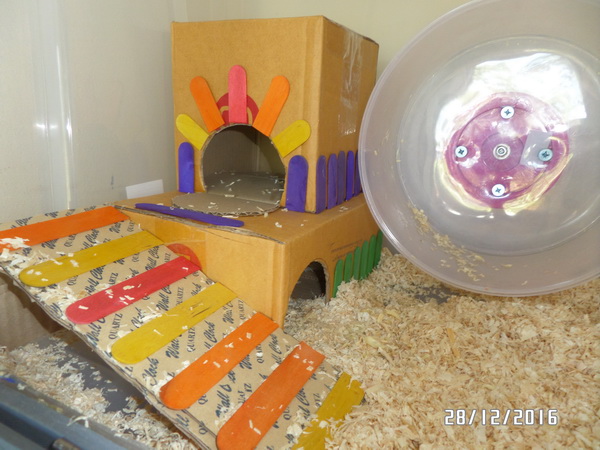 House-01.jpg