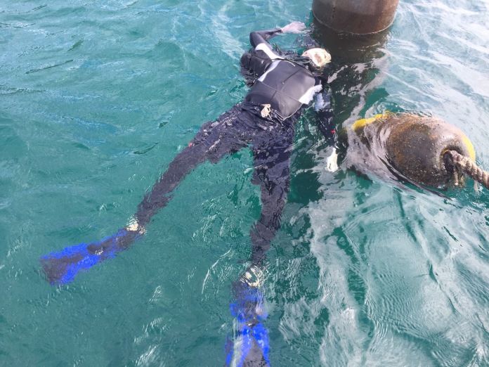 diver-found-dead-2.jpg