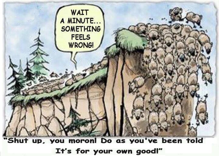 lemmings_2.jpg