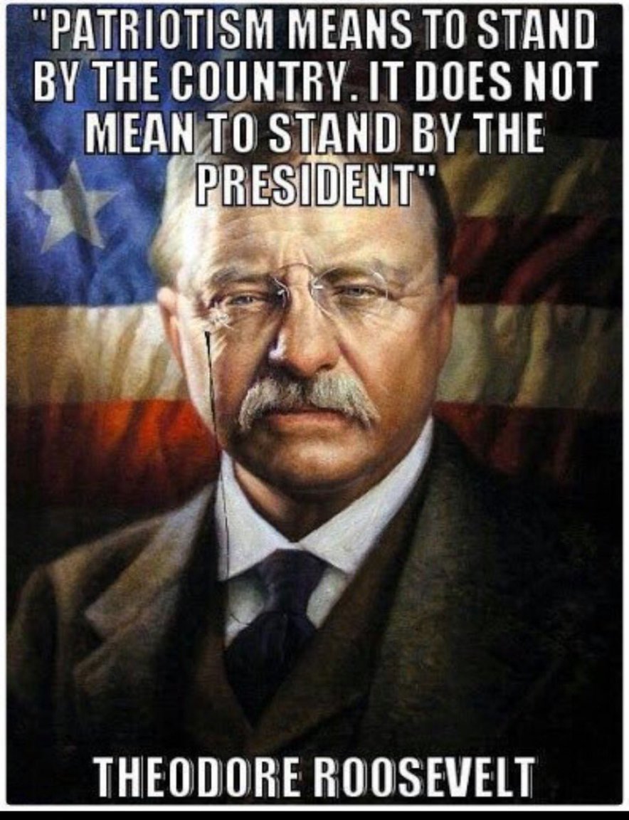 Roosevelt patriotism.jpg