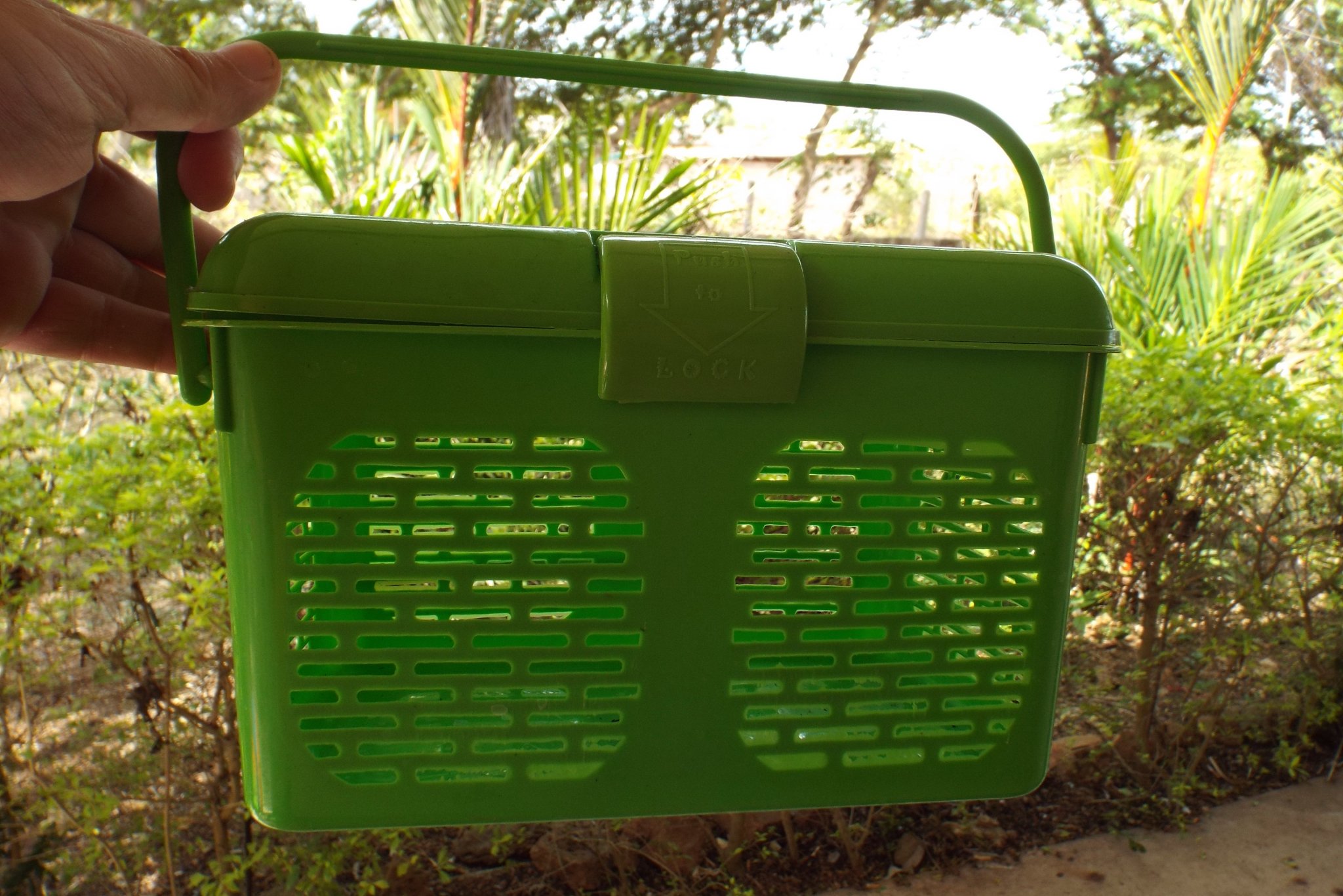 female basket closed.jpg
