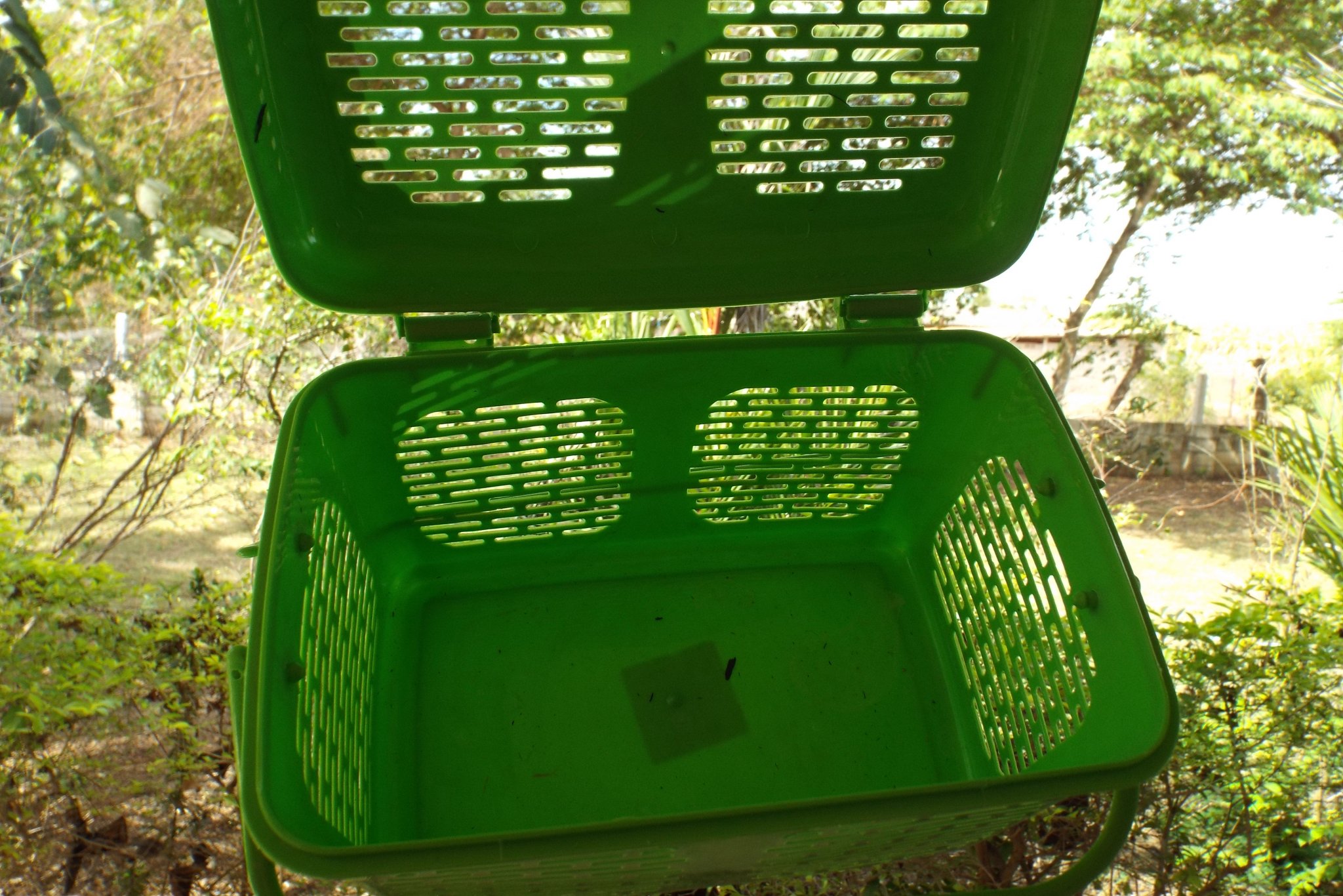 female basket open.jpg