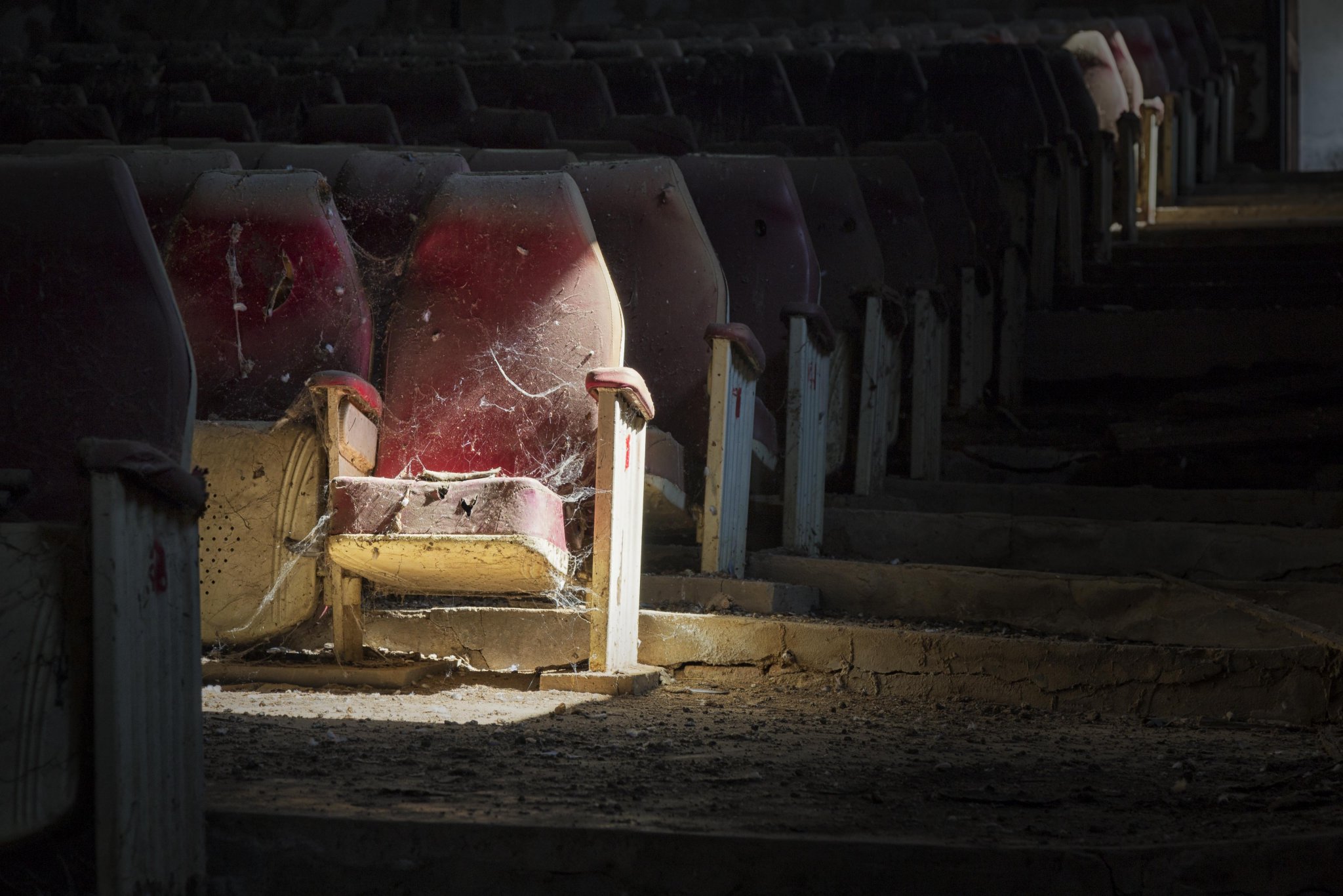 20163012dw014 copy.jpg