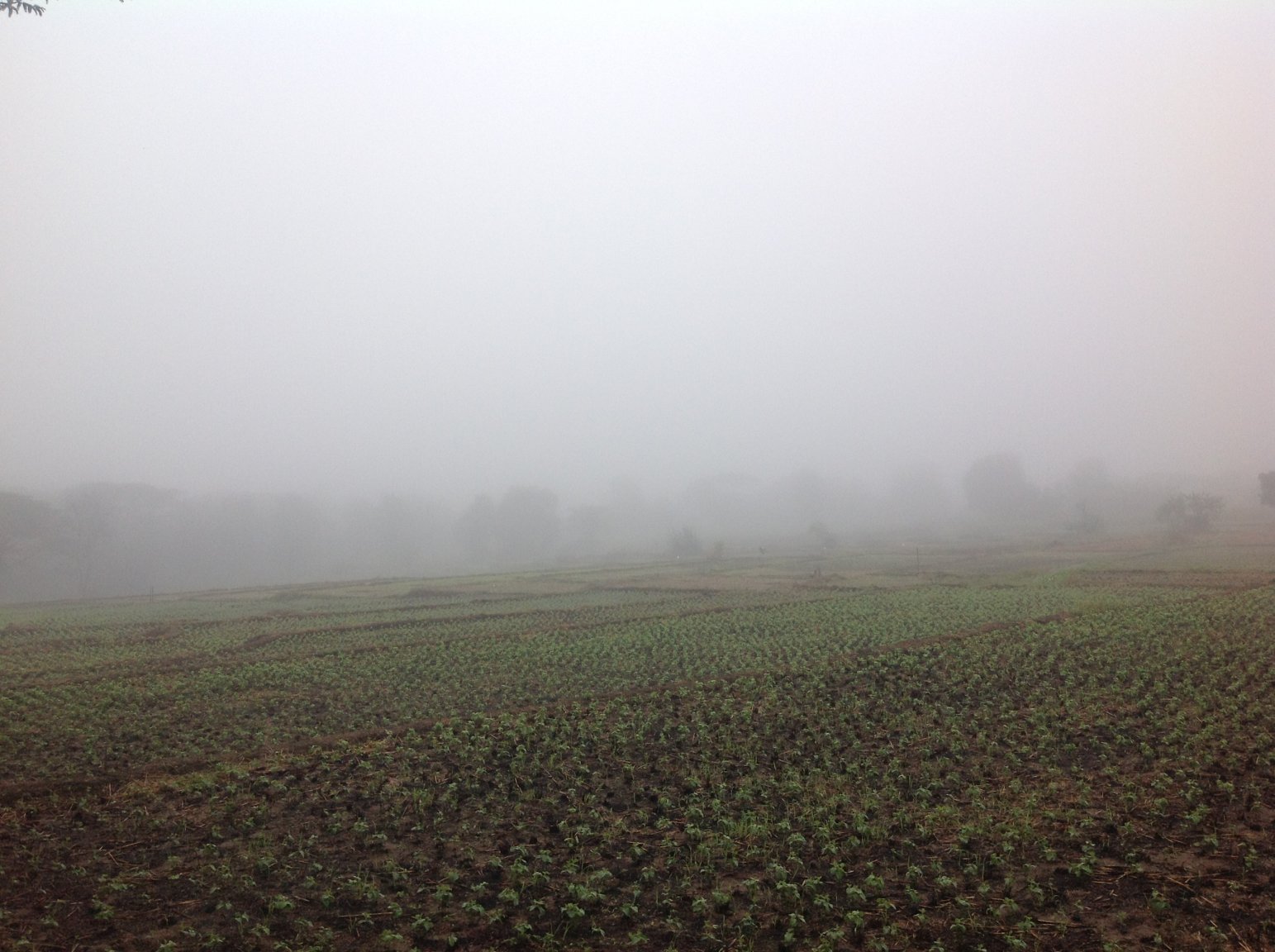 File 8-01-2017, 9 13 49 AM.jpeg