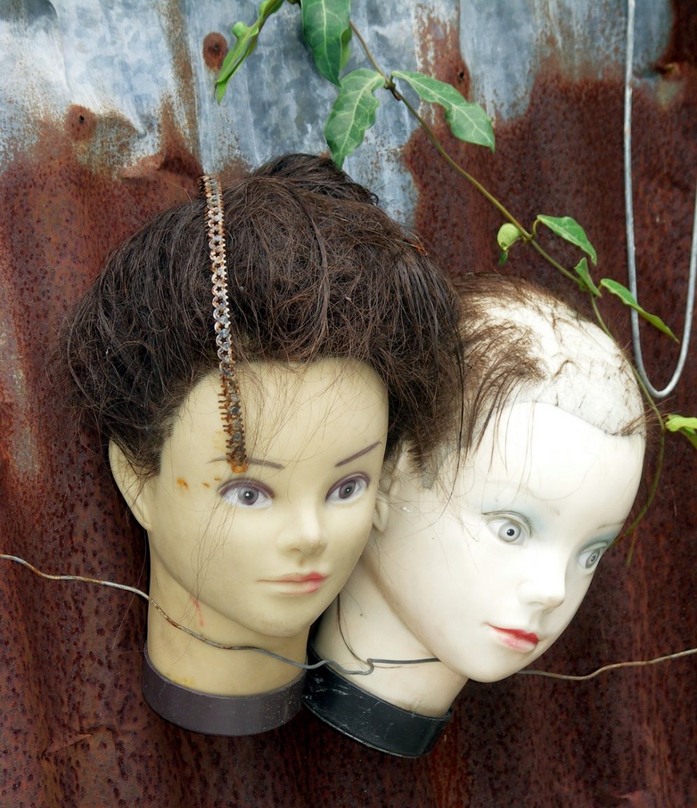 PICT0240 fs small.jpg