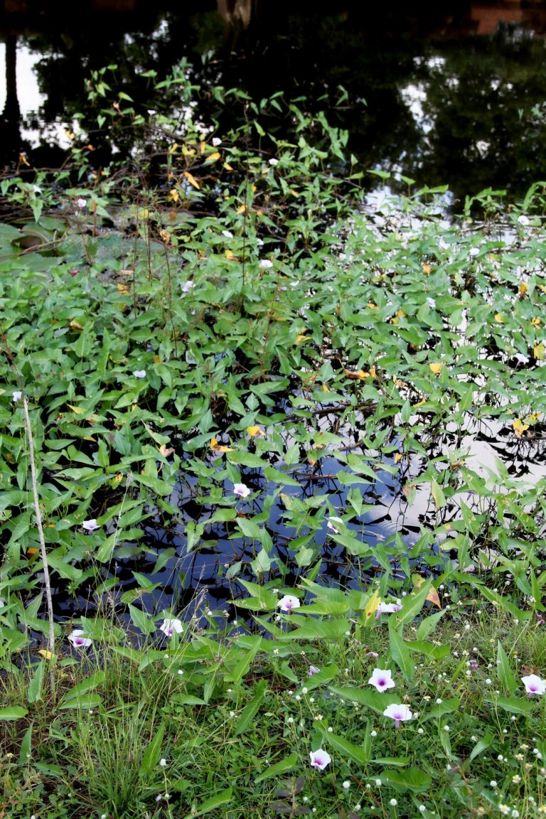 IMG_1192 fs small.jpg