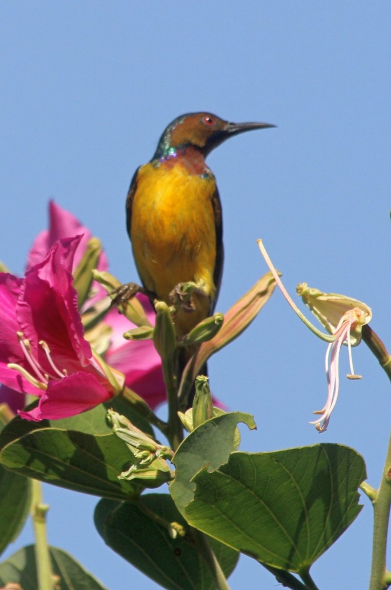 IMG_7838 fs 1 small.jpg