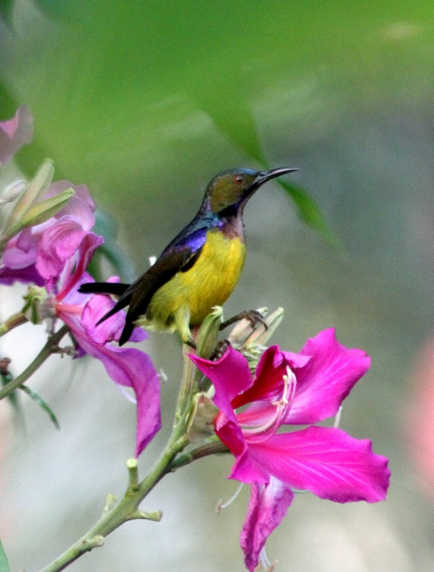 IMG_5317 fs small.jpg