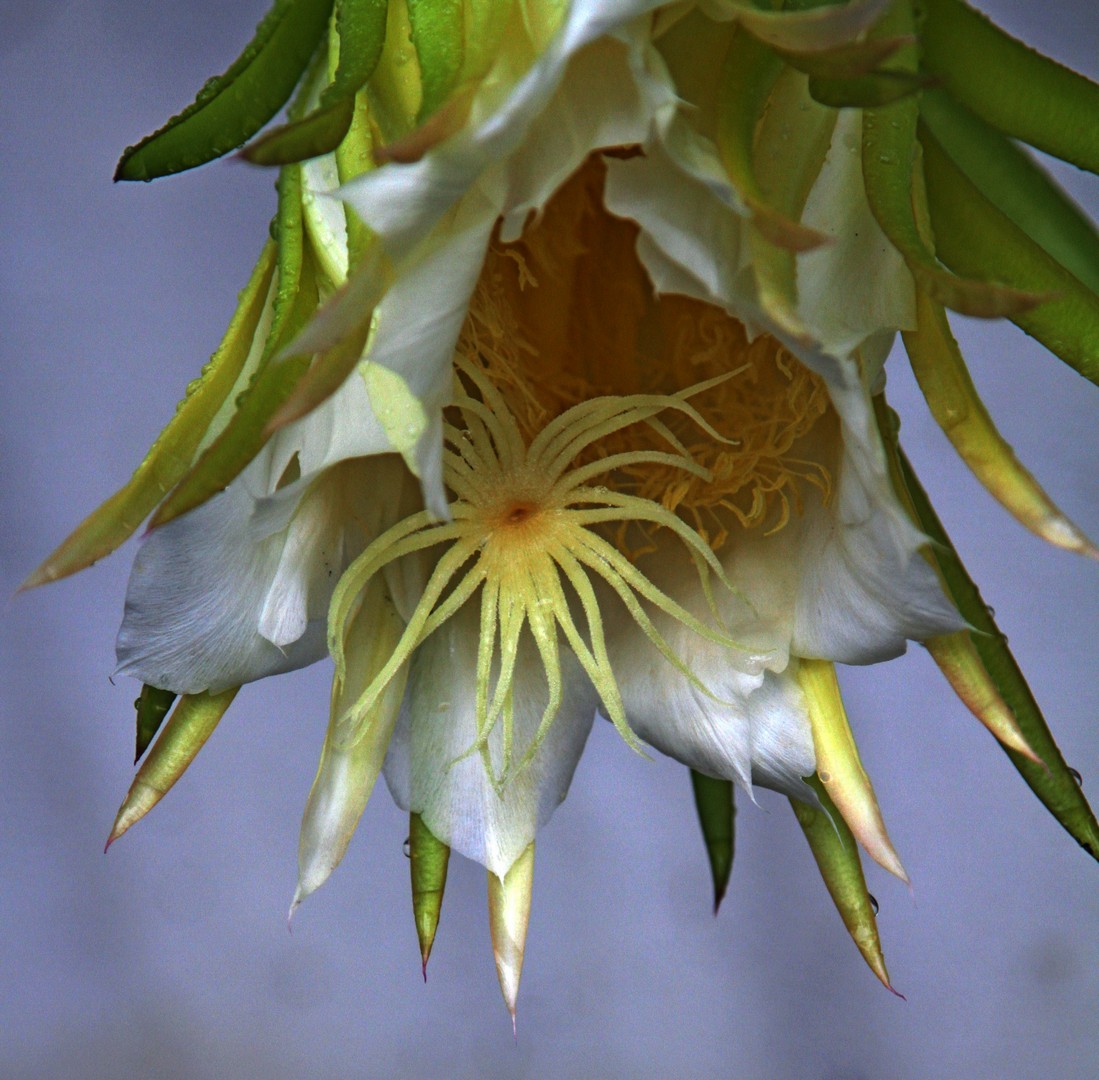 IMG_6398 fs small.jpg