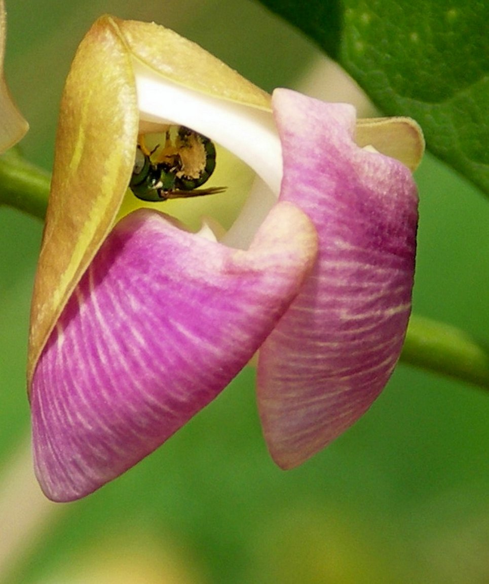 Recovered4000_cr.jpg fs small.jpg