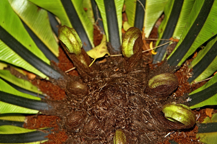 IMG_6756 fs small.jpg