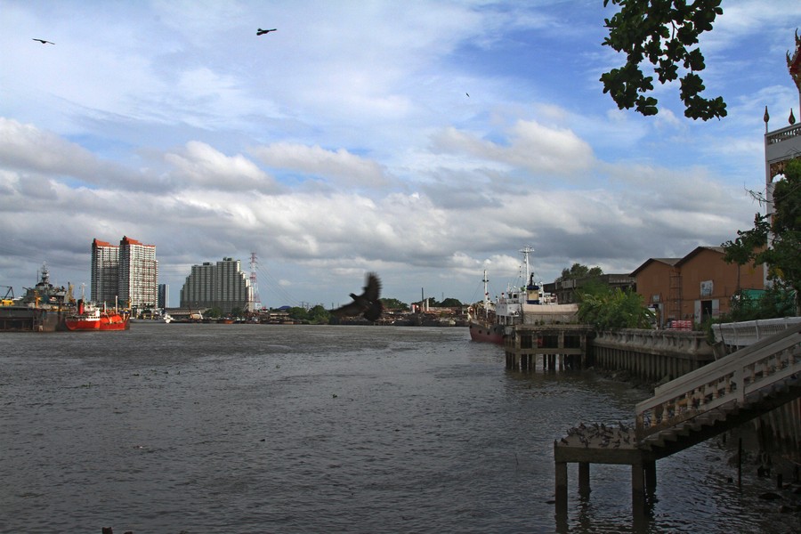 IMG_5867 fs small .jpg