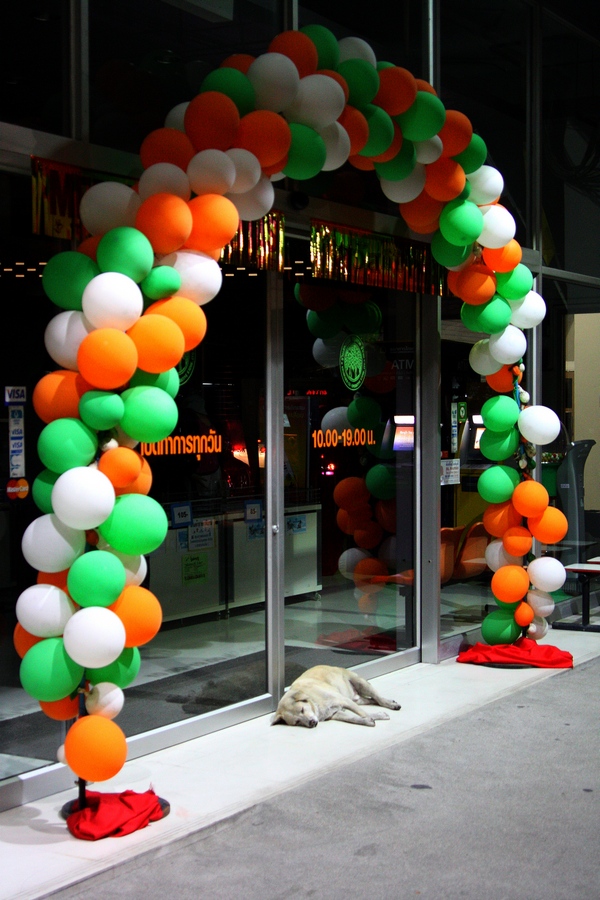 450D-3242-10_12_2008 faststone small.jpg