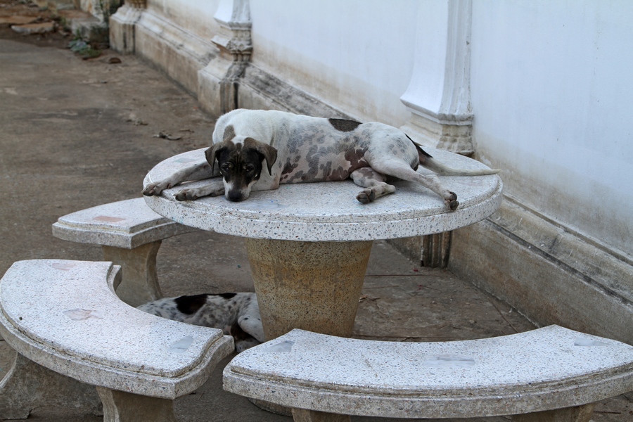 IMG_9377 fs small.jpg